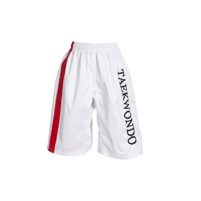 Taekwondo Shorts With Red Stripes and Embroidered Characters