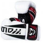 10oz Fangs Professional Boxing Gloves