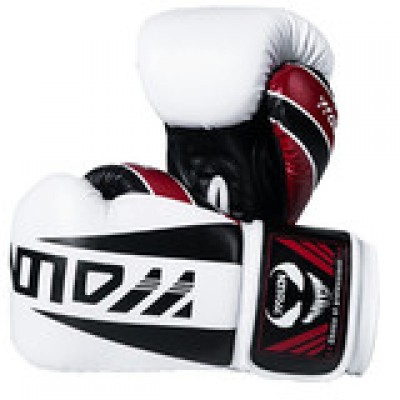 10oz Fangs Professional Boxing Gloves