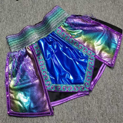 Rainbow Holographic Muay Thai Shorts with Purple Fringe & Ornate Trim Kickboxing MMA Fight Trunks