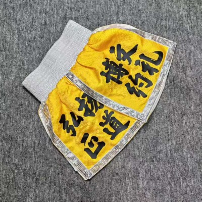 Premium Satin Martial Arts Fight Shorts - Kung Fu Trunks for MMA/Kickboxing Martial Arts Gym Gear