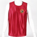 Sanda Uniform with Embroidered Dragon (Red) Sanda Uniform with Embroidered Dragon (Red)